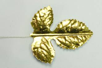 Gold Leaf 50mm Wired (50)
